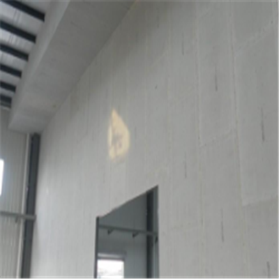 吉首新型建筑材料掺多种工业废渣的ALC|ACC|FPS模块板材轻质隔墙板